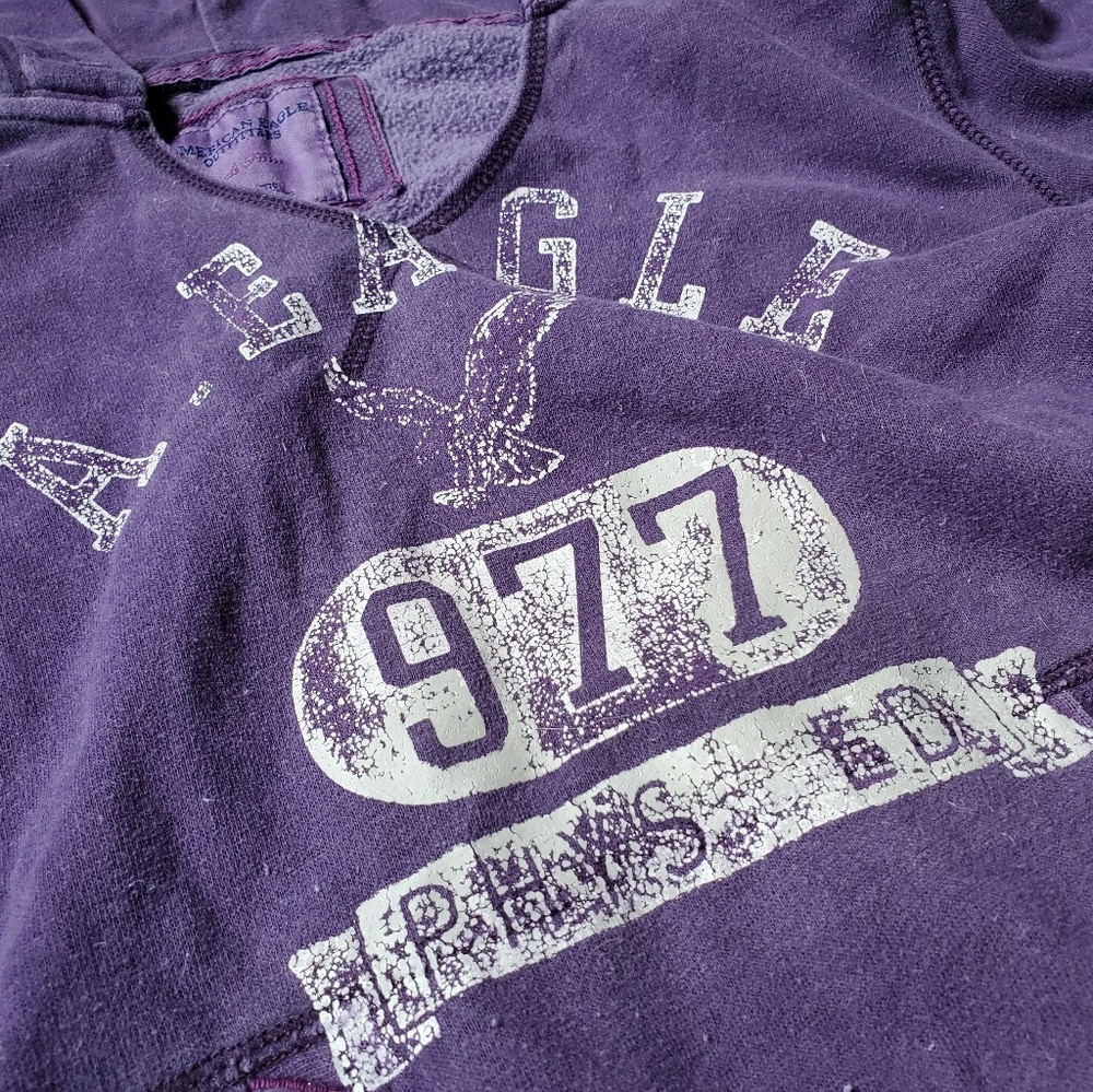 American Eagle Vintage Shortsleeve Hoodie Size Med - Picture 2 of 6